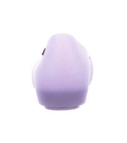 Melissa Ultragirl Basic II AD 32938/01936 Lilac Iris (ML148-d) bateliai