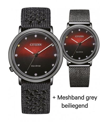 Citizen EM1007-47E 