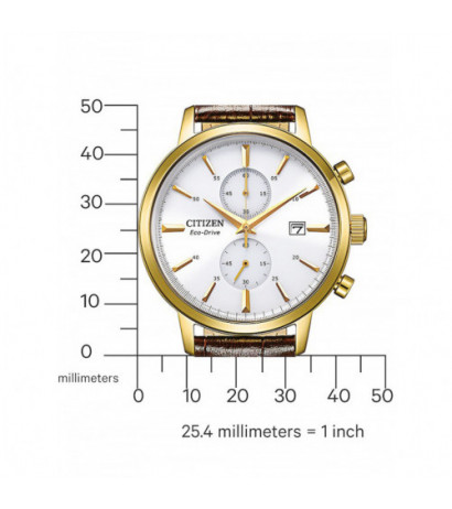 Citizen CA7062-15A 