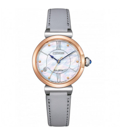 Citizen EM1074-15D 