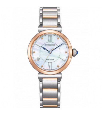 Citizen EM1074-82D 