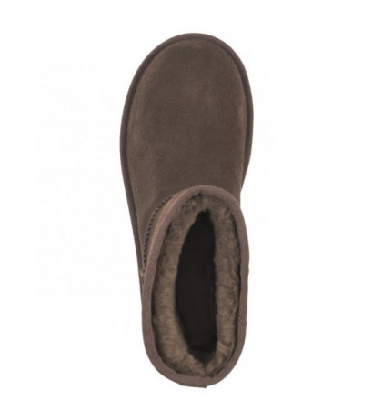 UGG W Classic Mini Platform 1134991 BCDR (UA73-c) bateliai