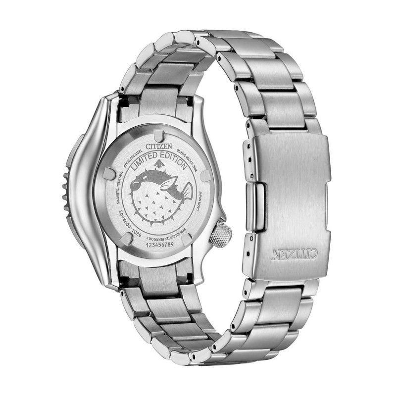 Citizen NY0160-66EE Citizen NY0160-66EE