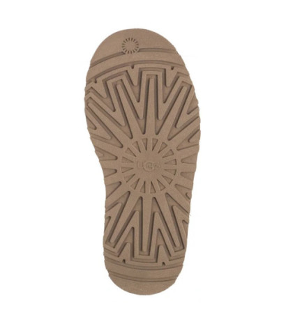 UGG K Tazz 1143776K CHE (UA125-a) batai