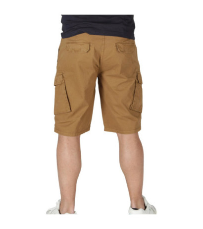 Lyle & Scott šortai SH1815ITAB Brown