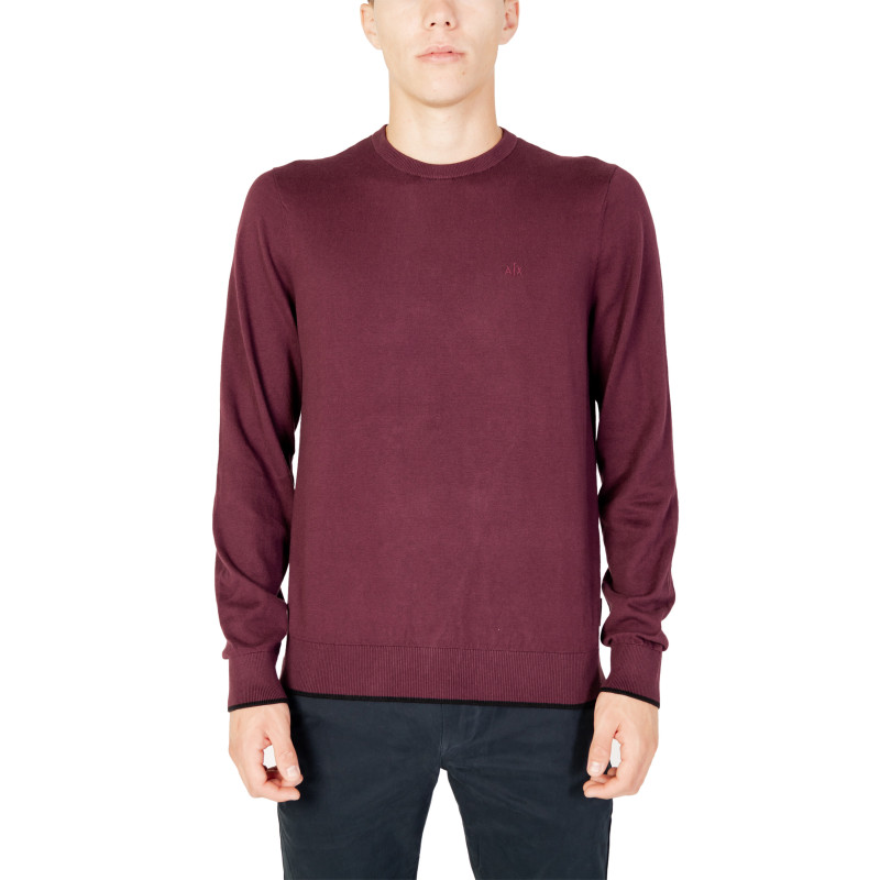 Armani Exchange Megztinis 8NZM6A ZM1HZ Purple