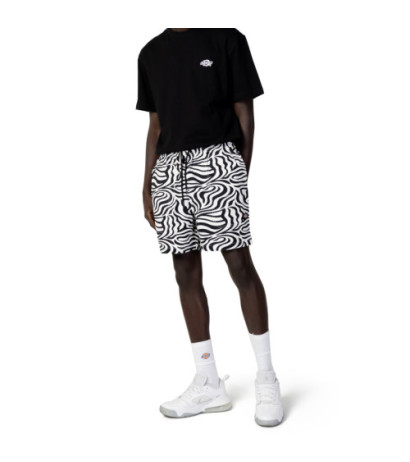 Dickies šortai DK0A4Y7Y White