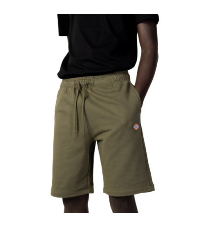 Dickies šortai DK0A4Y83 Green