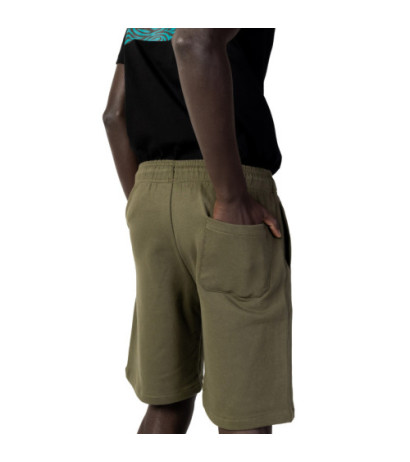 Dickies šortai DK0A4Y83 Green
