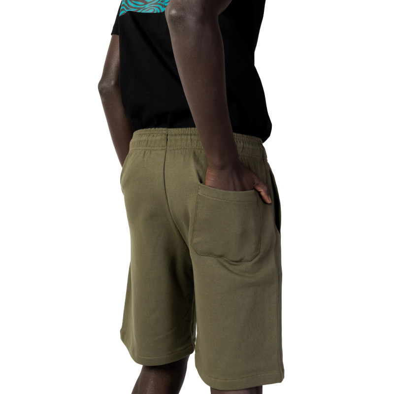 Dickies šortai DK0A4Y83 Green