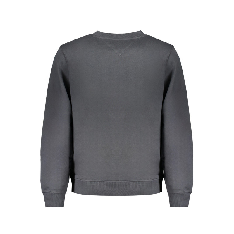 Tommy hilfiger džemperis DM0DM20496 Pilka