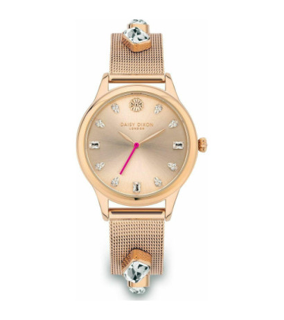 Daisy dixon laikrodis DD105RGM