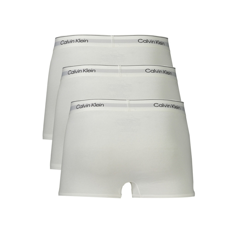 Calvin klein apatinis trikotažas LV00NB4389 Balta