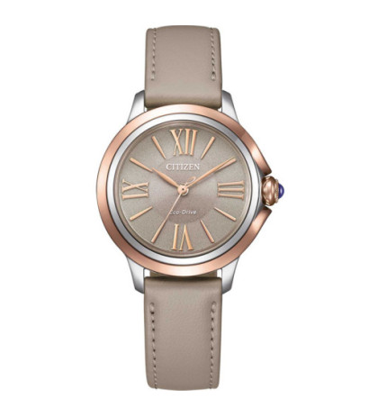 Citizen EM1166-01Z 