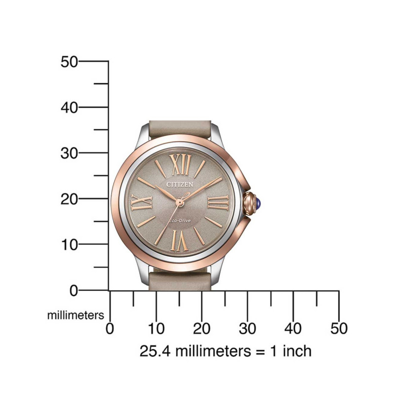 Citizen EM1166-01Z Citizen EM1166-01Z