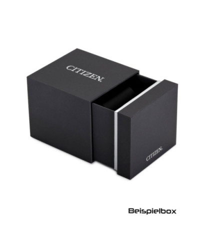 Citizen EW5622-09P 