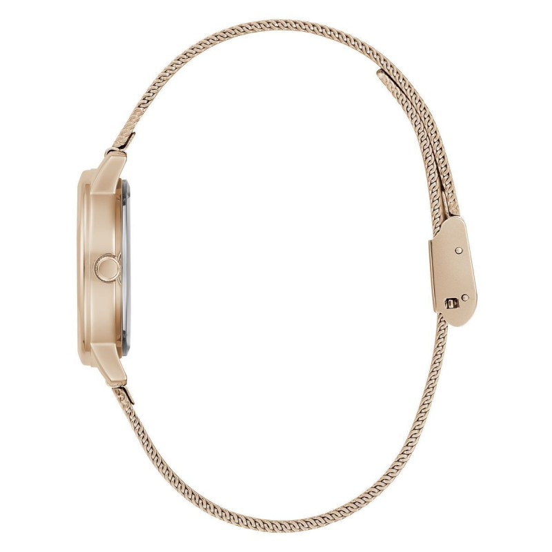 Guess laikrodis GW0666L3