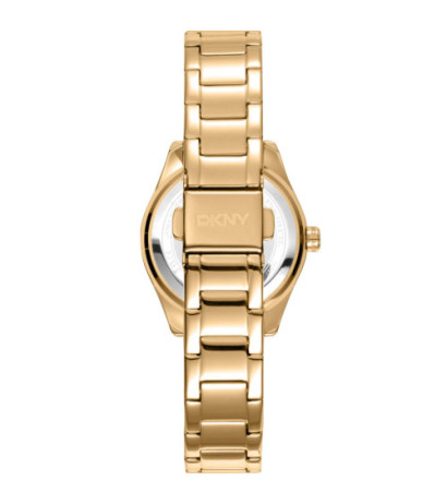 DKNY DK1L017M0055 