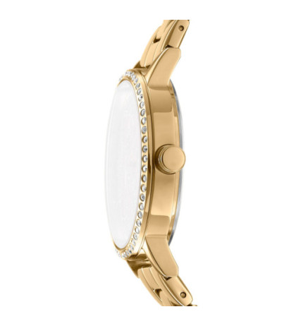 DKNY DK1L035M0215 