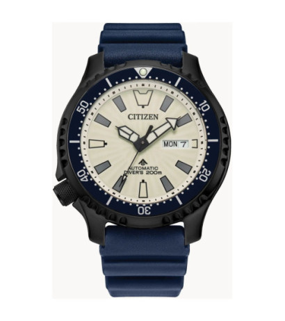 Citizen  NY0137-09A