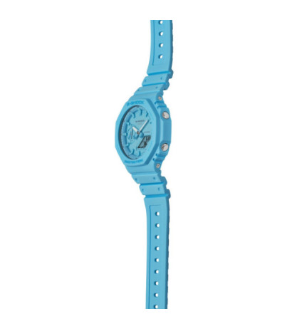 Casio GA-2100-2A2ER 