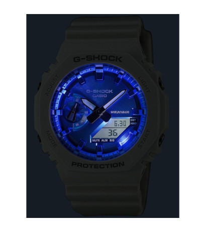 Casio GA-2100WS-7AER 