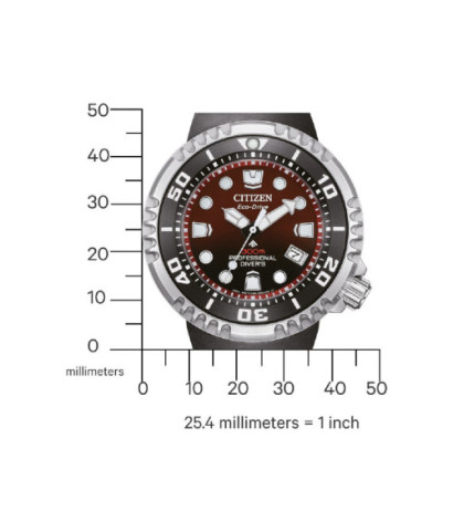 Citizen BN1024-01Z 