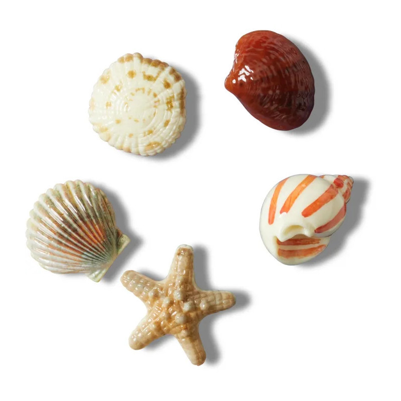 Crocs Jibbitz™ She Sells Seashells 5-Pack 10014671 (CR363-a) aksesuaras