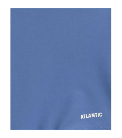 Atlantic glaudės
