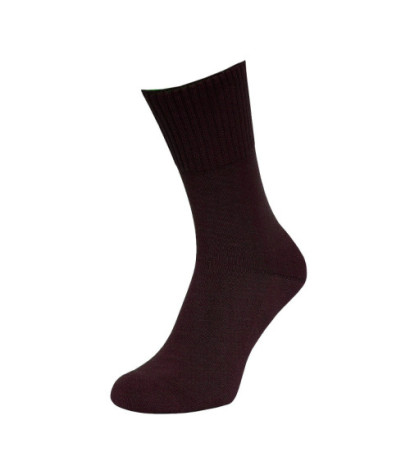 Regina Socks vyriškos kojinės