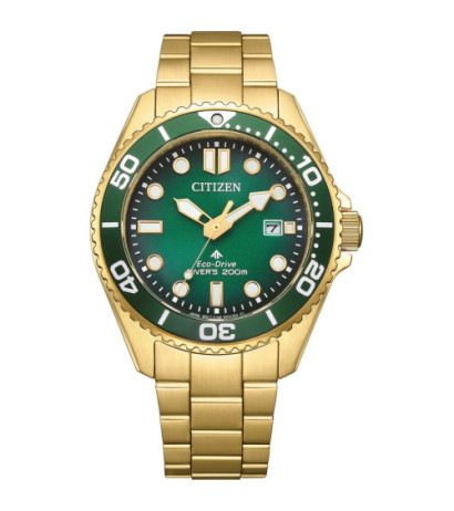 Citizen BN0262-59W 