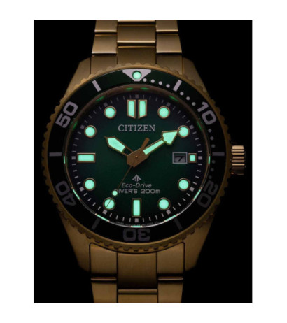 Citizen BN0262-59W 