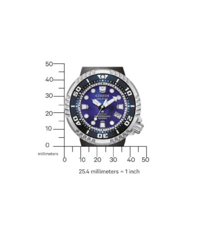 Citizen BN1025-08L 