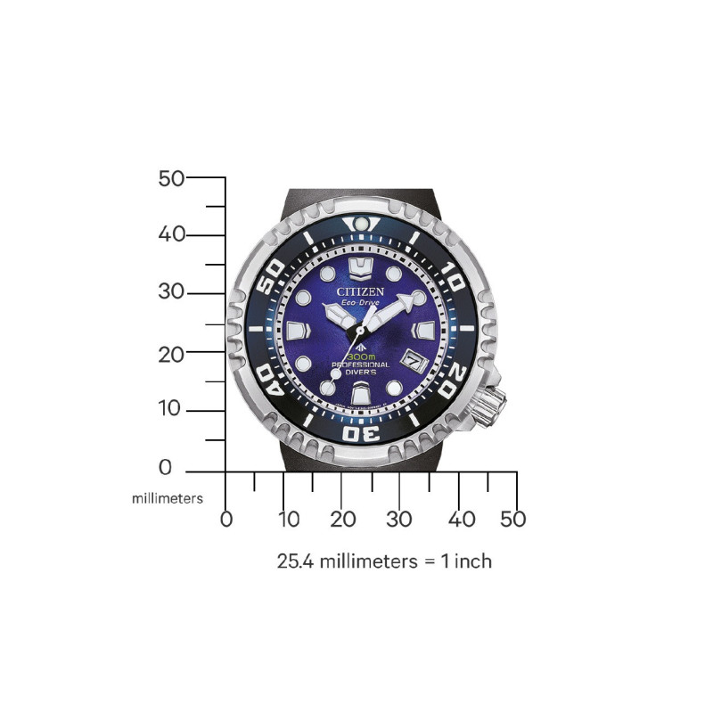 Citizen BN1025-08L Citizen BN1025-08L