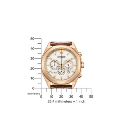 Citizen CA4593-15A 