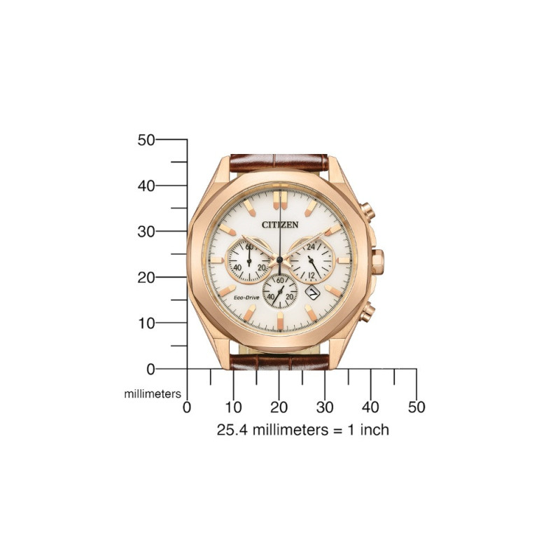 Citizen CA4593-15A 