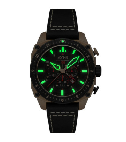 AVI-8 AV-4100-06 