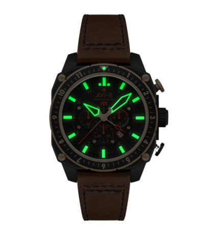 AVI-8 AV-4100-09 