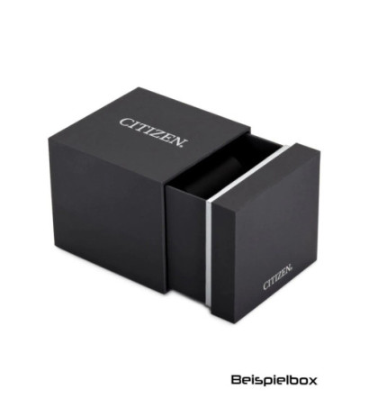 Citizen BY1030-09A 