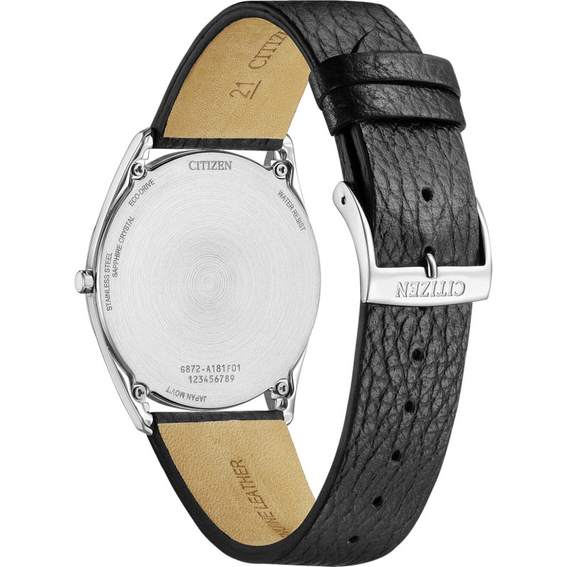 Citizen AR3120-16A 