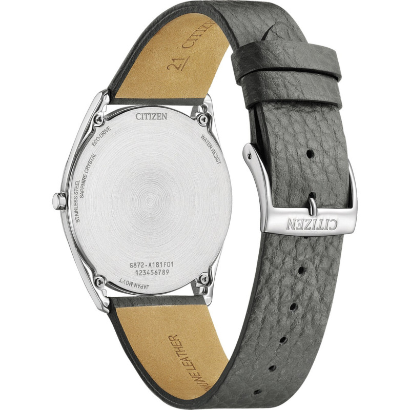 Citizen AR3120-24L Citizen AR3120-24L