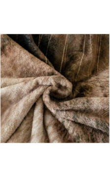 Cotton World