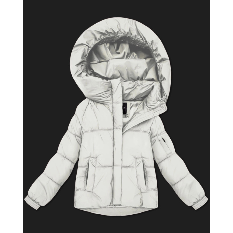 S'WEST (B2003-26) striukė