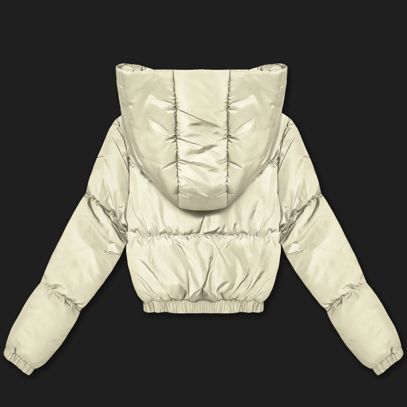 WINTER JACKET WITH MEMBRANE MINT (W182) striukė