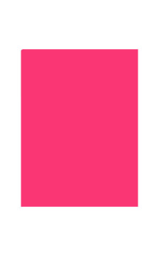 Gatta besiūlė palaidinė