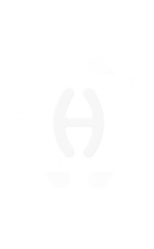 Julimex liemenėlės segtukas