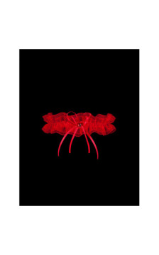 Julimex keliaraištis