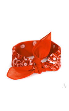 Art Of Polo vaikiškas šalikas