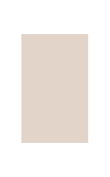 Gatta besiūlė palaidinė