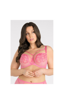 Gorsenia liemenėlė